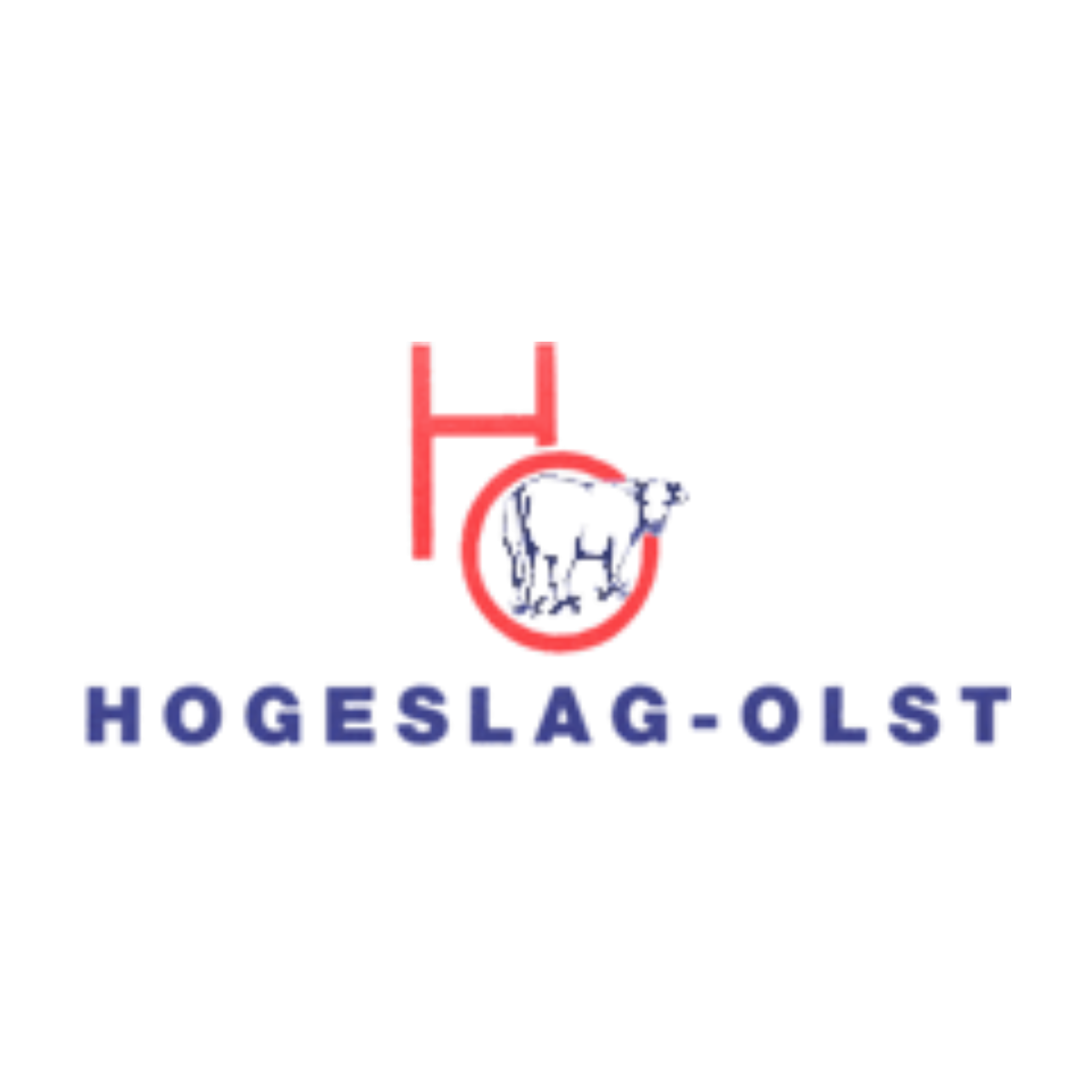 hogeslag olst logo new hogeslag olst logo new