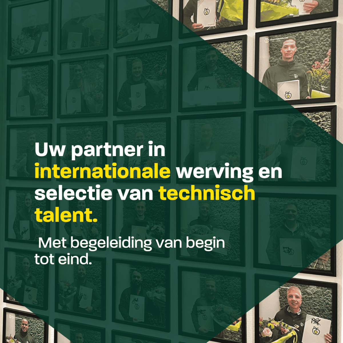 Instagram Posts - HP (1080 x 1350 px)